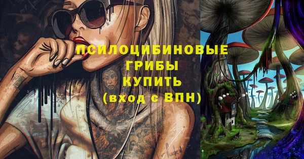 a pvp Козельск